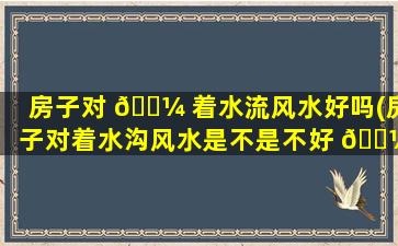 房子对 🐼 着水流风水好吗(房子对着水沟风水是不是不好 🌼 )